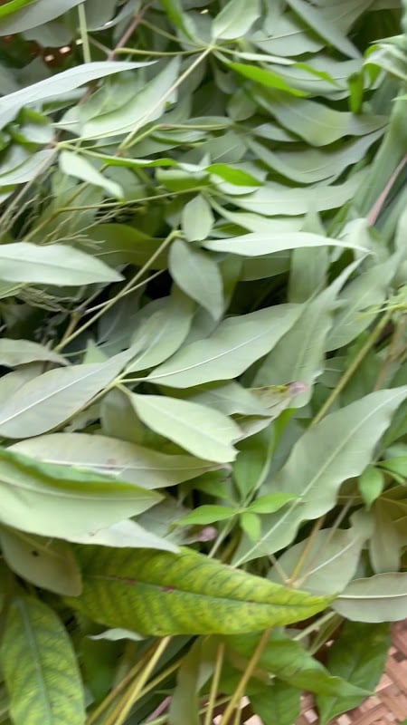 Botanica Spa – ảnh 7